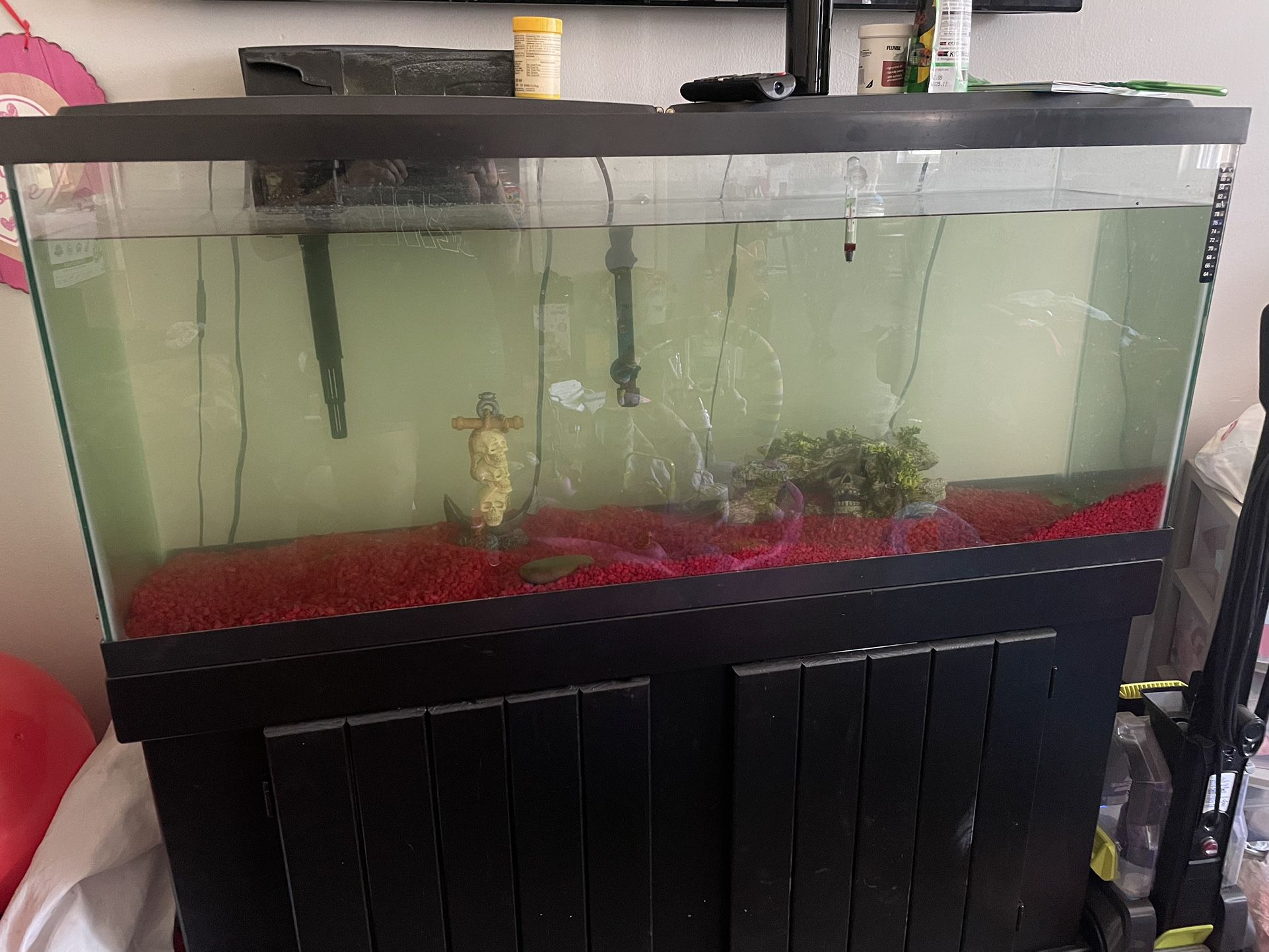 55 Gallon Fish Tank And Stand 700 OBO