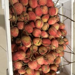 Newly Harvested Lychees !!! 