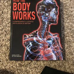 How The Body Works
