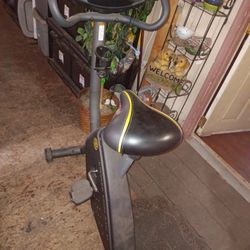 210 Gold's gym exercising bike