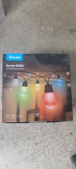 Govee RGBIC S14 Bulb string lights
