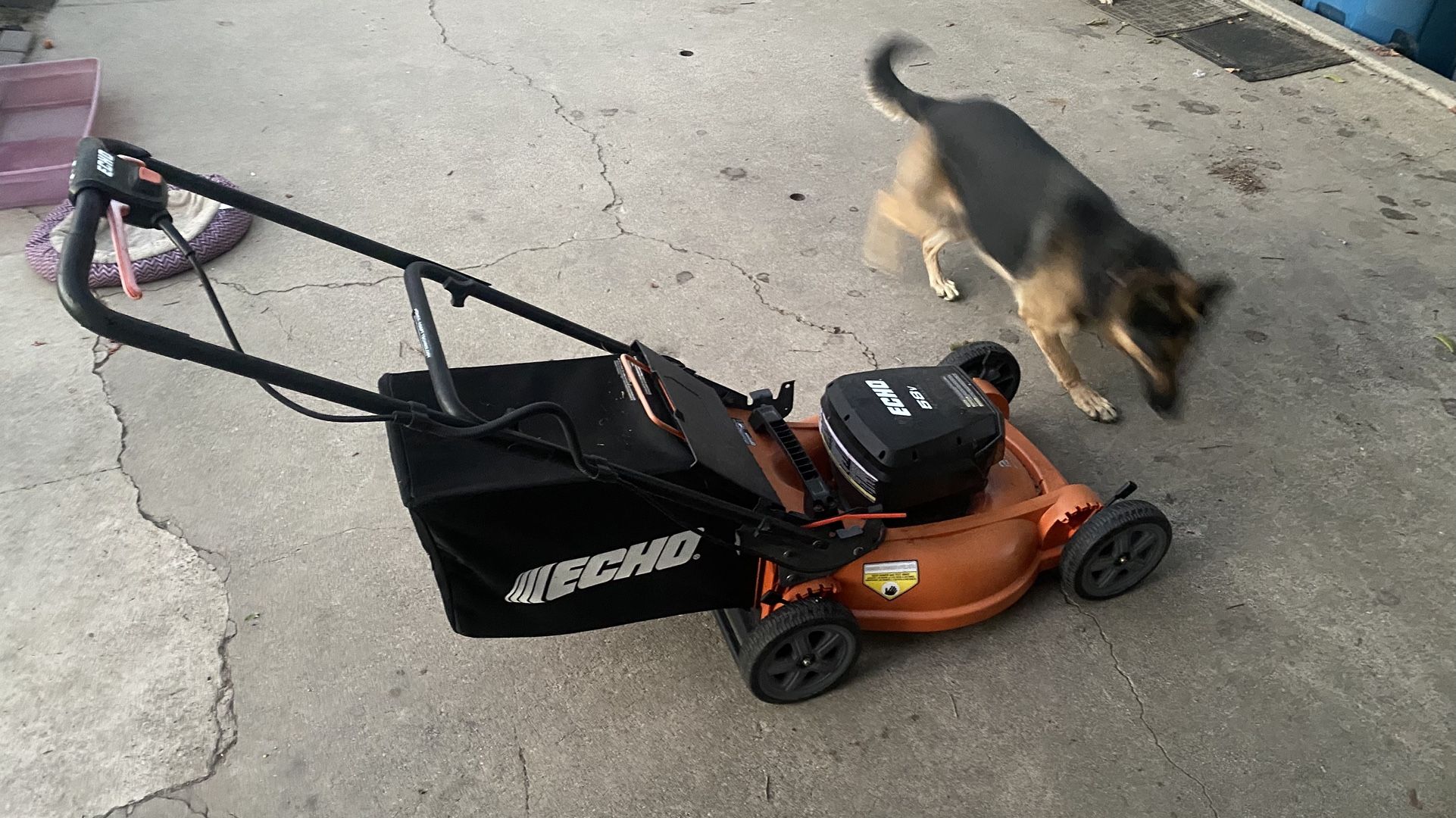 ECHO Cordless Lawn Mower - WORKS GREAT!! 