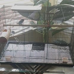 Bird Cages $60 