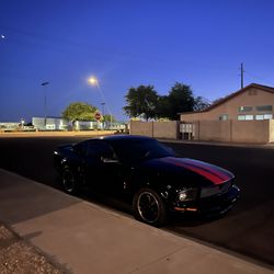 2008 Ford Mustang