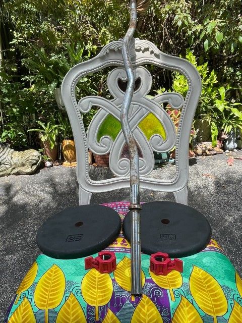 PAIR OF STANDARD SIZE 25 LB. PLATES & CURL BAR