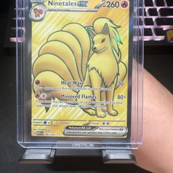 NinetailsEX 151