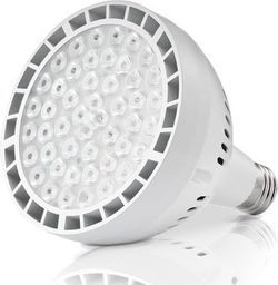 120V 80W LED Pool Light Bulb, Daylight White 6500K Inground Pool 8500LM replace for (contact info removed)W Bulb