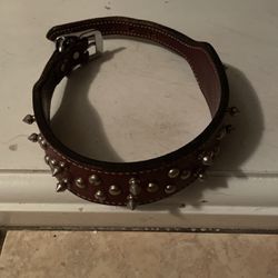 leather dog collar  