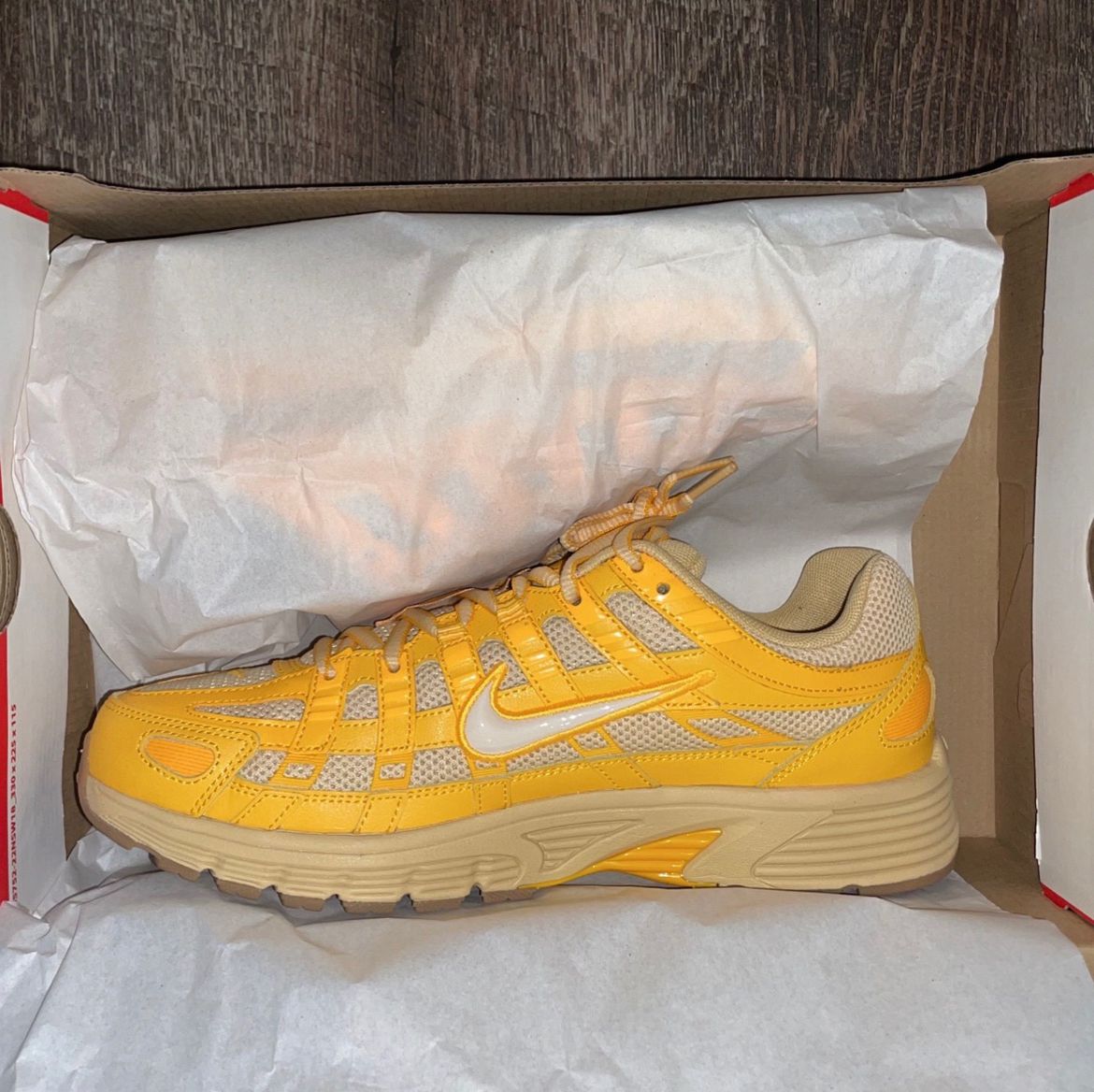 Nike P-6000