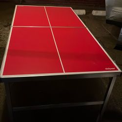 Ping Pong Table 