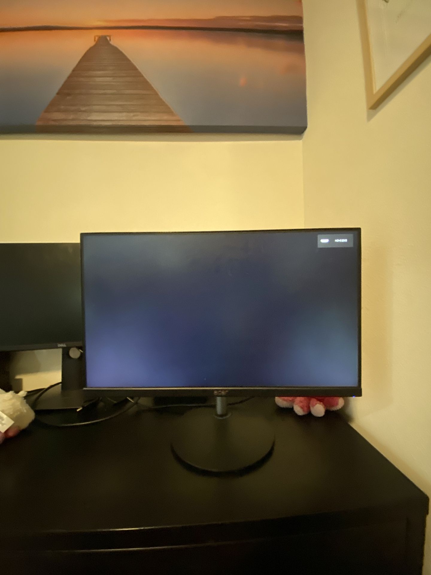 Acer Monitor 
