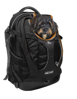 Black Kurgo G Train Dog  Backpack/ Pet Carrier