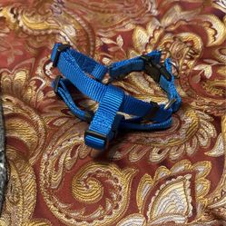 Dog Harness Small Medium Like New 