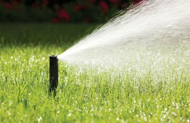 Rainbird, Hunter...