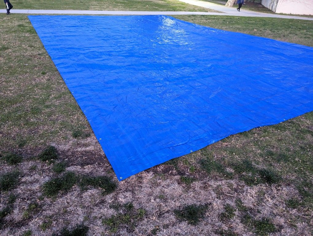 Blue Tarp