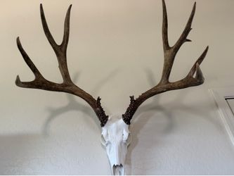 Antlers
