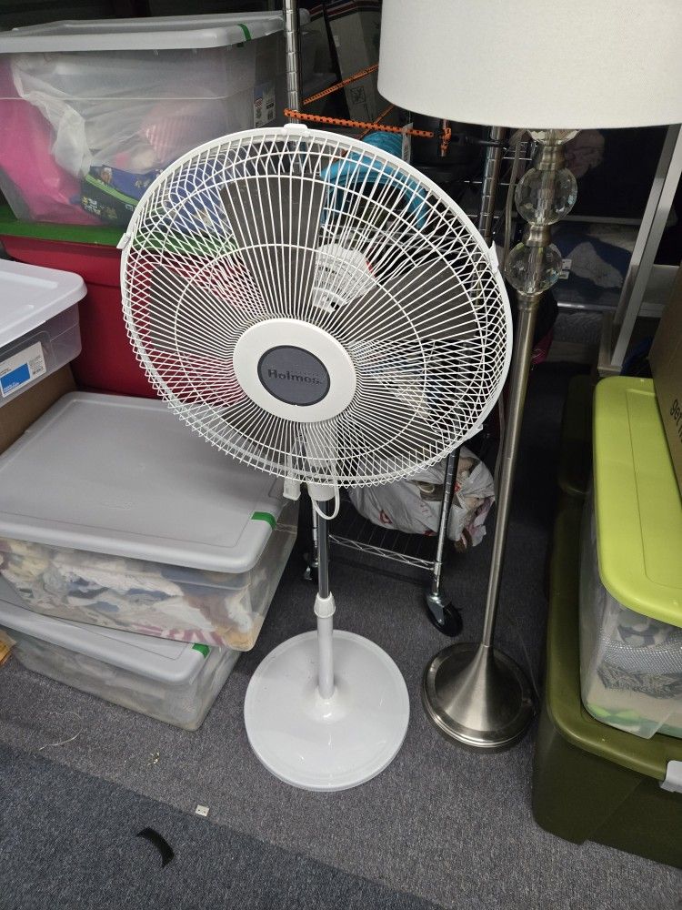 Fan