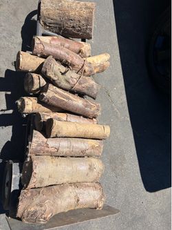 Logs need gone ASAP by Lodi