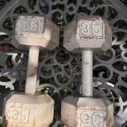 35 Lbs Steel Dumbbell