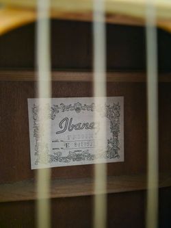Ibanez Acoustic Guitar