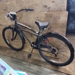 Cruiser Bike 