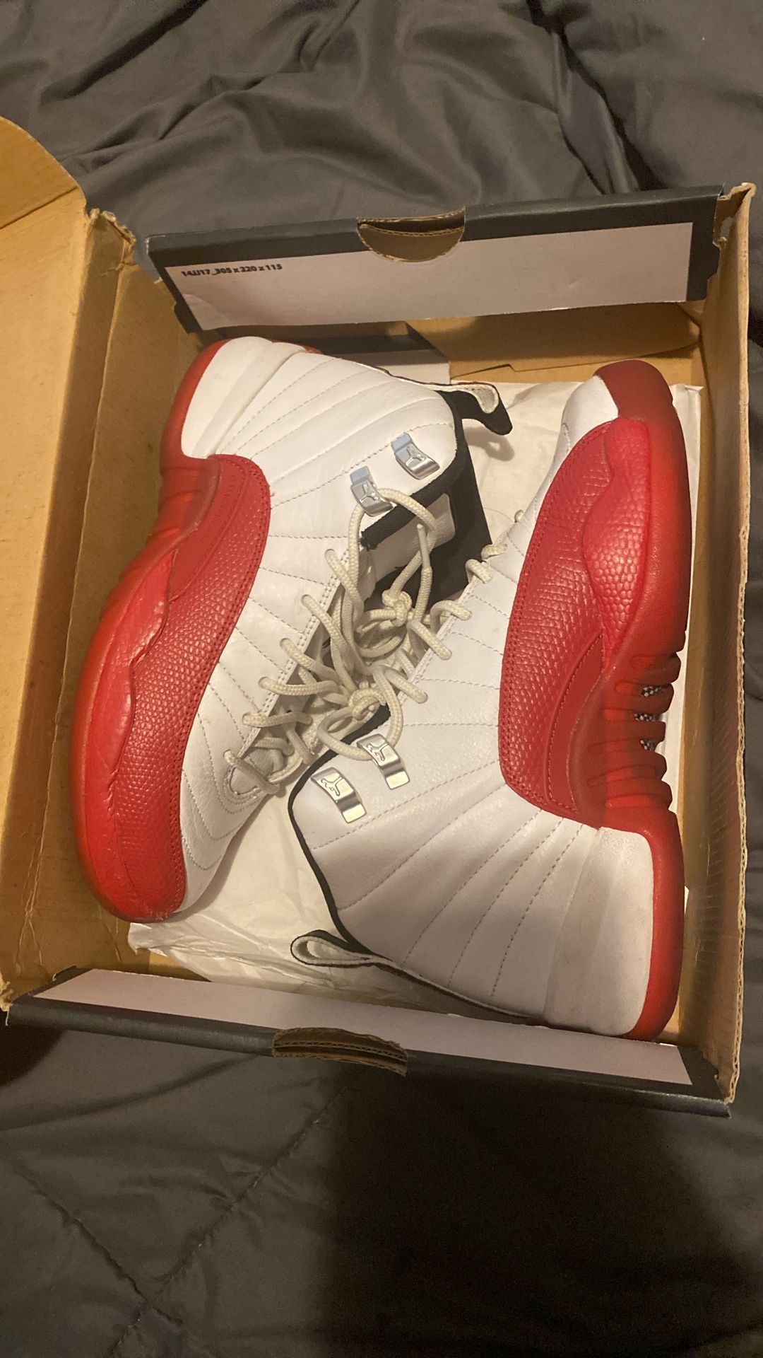 Jordan Retro 12