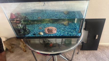 Fish tank