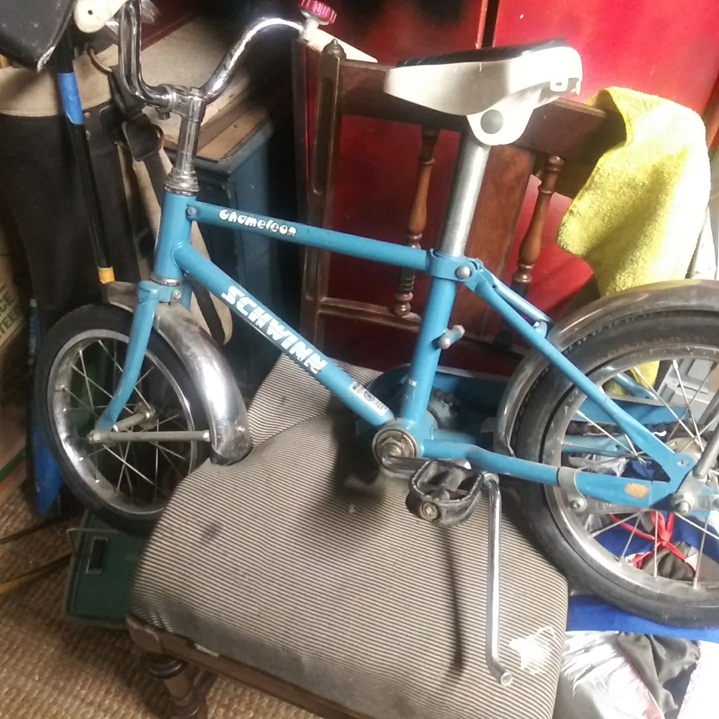 Rare Chicago made schwinn chameleon