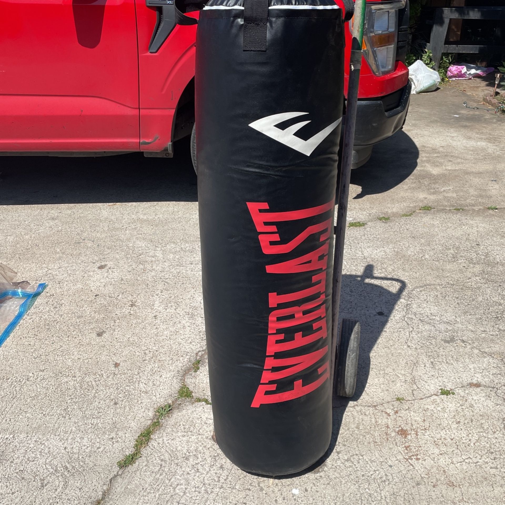 Everlast Punching Bag 