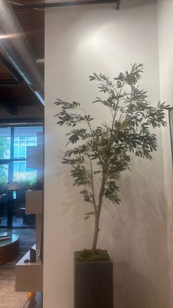 8-9 ft Faux olive tree with faux concrete planter