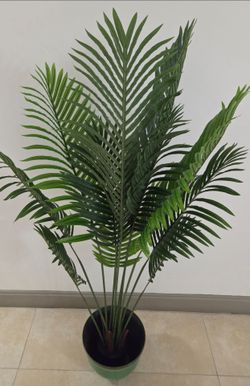*** JUST REDUCED *** 62in Faux Areca Palm in a 12in (Diameter) Green Resin Planter @ Lasting Creations