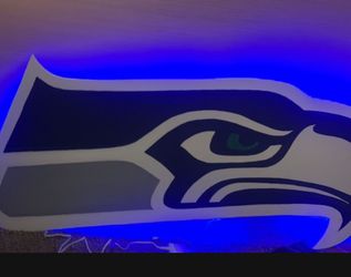 Hand Made/painted Seahawks Light