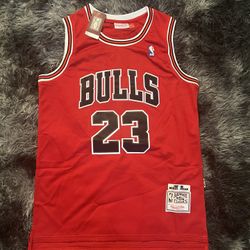 Jordan Bulls Jersey Authentic Large 