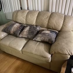 Free Leather Couches