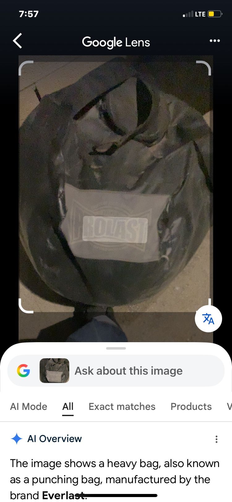 Wreck Ball Punching Bag 