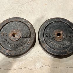 25lb Weights