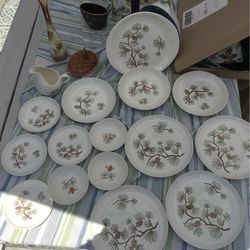 Midcentury Antique Vintage Dinnerware Dish Set