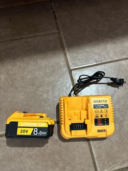 NEW BATTERY AND CHARGER