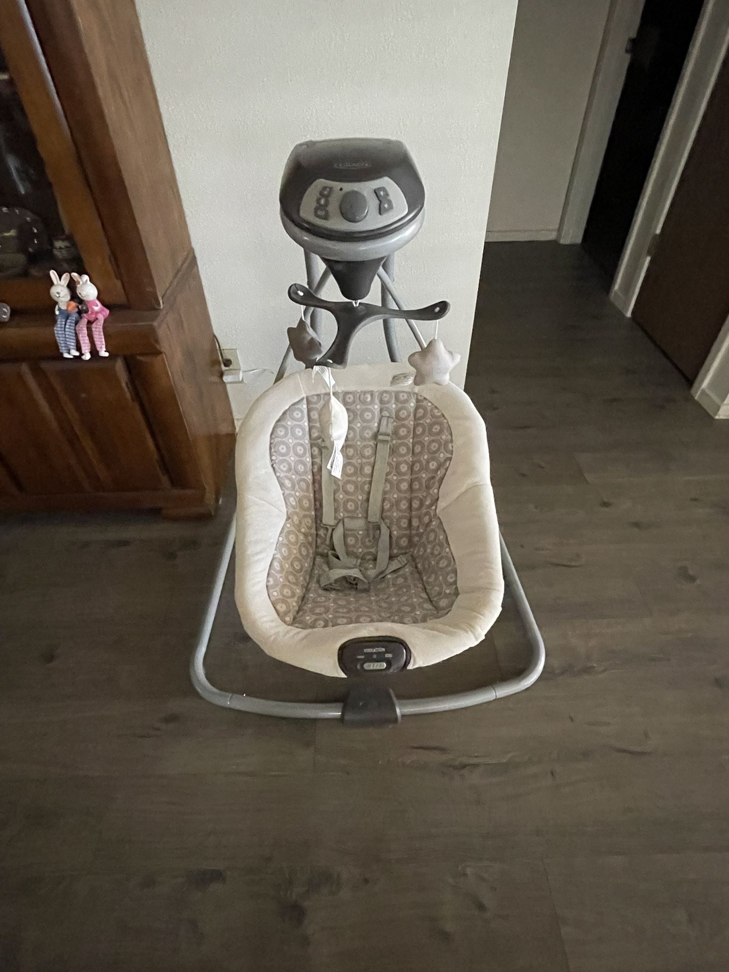 Graco Baby Swing