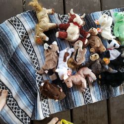 Beanie Babies With Errors 