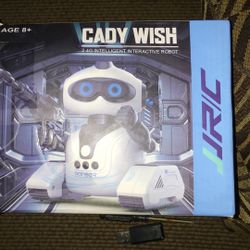 Intelligent Interactive Robot 24g