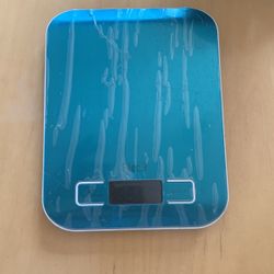 Food Scale NEW 