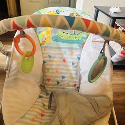 Baby Einstein Bouncer 