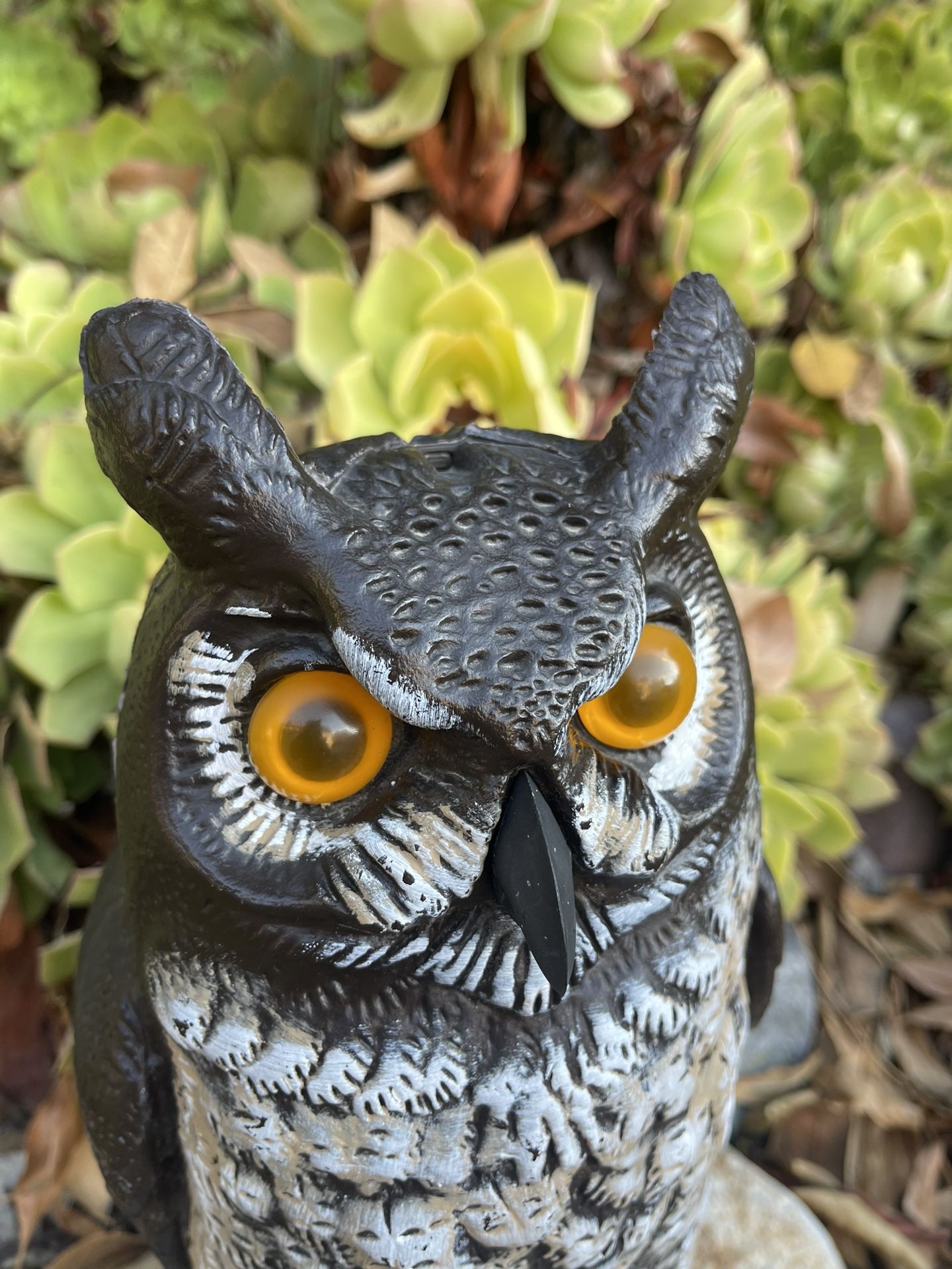  “Great Horned Owl - Bat, Bird & Rodent Deterrent Statue” 