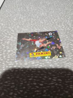 Panini card