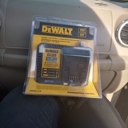 Dewalt Charger & Battery 