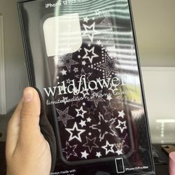 iPhone 13 Pro Max Case