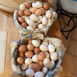Farm Fresh Eggs! $10 / Dozen Eating. $20/dozen Hatching!