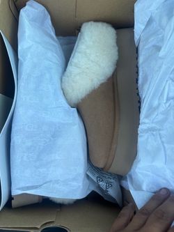 Uggs boots
