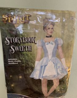 Halloween Cinderella costume